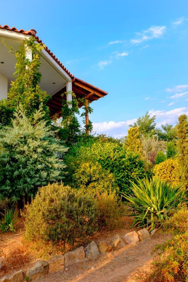 Vineyard Country House With Panoramic Seaview Alexandrúpoli Kültér fotó