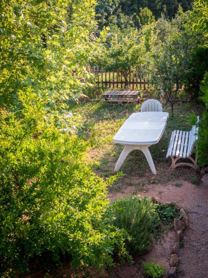 Vineyard Country House With Panoramic Seaview Alexandrúpoli Kültér fotó