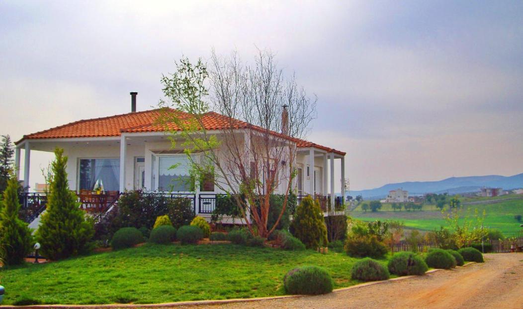 Vineyard Country House With Panoramic Seaview Alexandrúpoli Kültér fotó