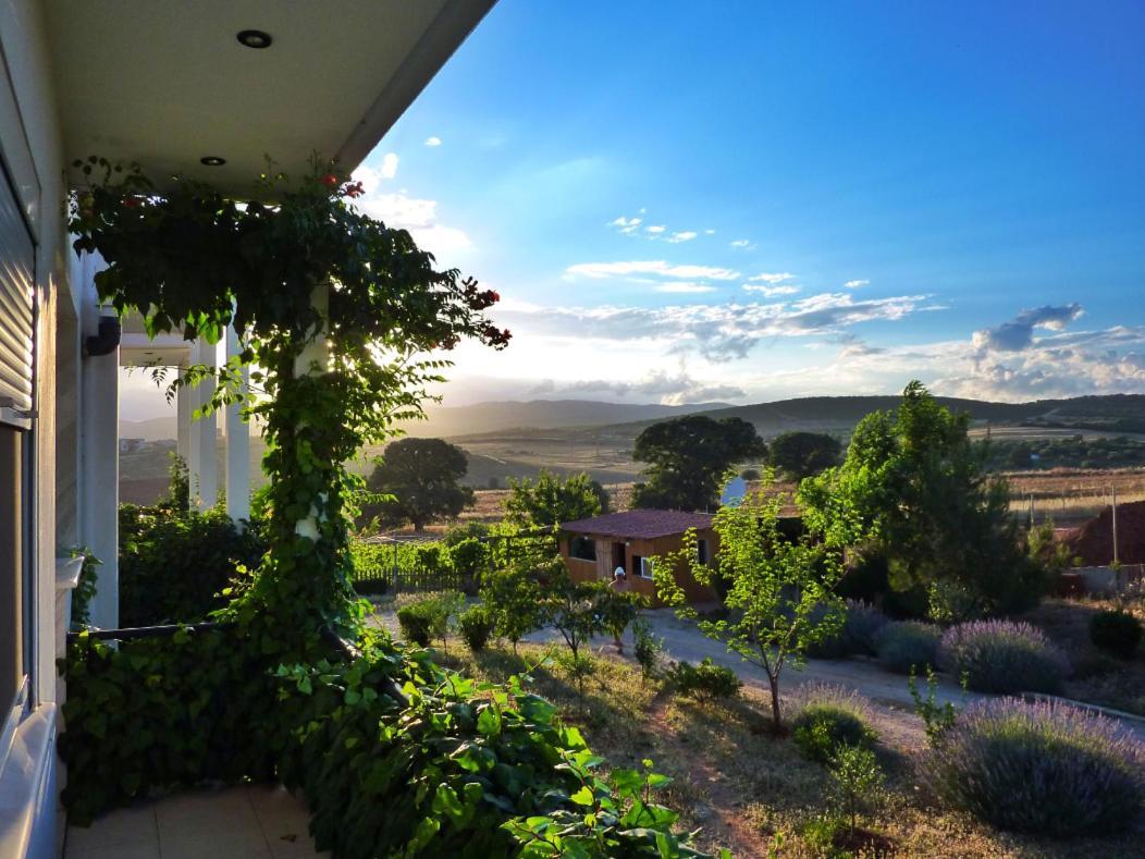 Vineyard Country House With Panoramic Seaview Alexandrúpoli Kültér fotó